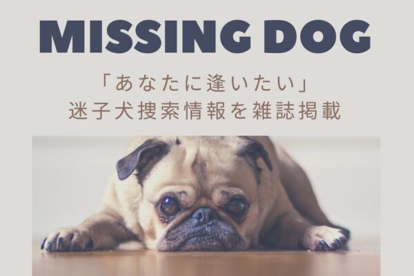 11月25日発売 雑誌「わんハート」掲載！北海道迷子犬捜索情報「あなたに会いたい」企画