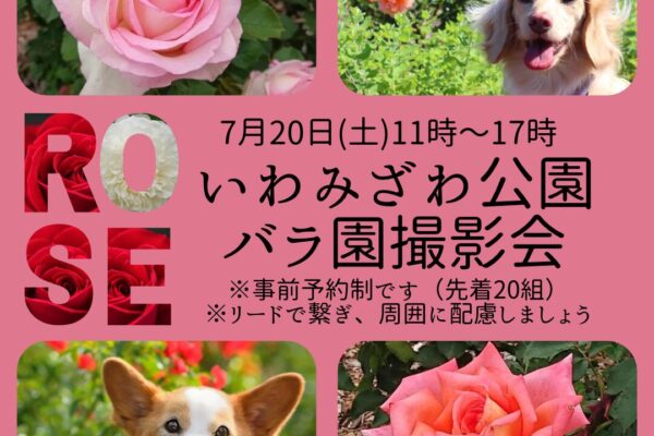 7月20日(土)いわみざわ公園バラ撮影会 開催！