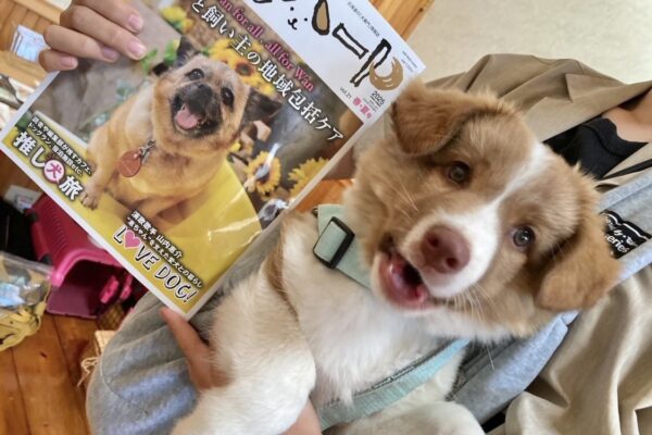 スイーツフェアin洞爺湖 渋谷花店リポート！