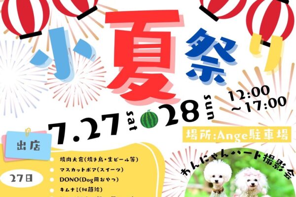7月28日（日）Ange小夏祭り ヒマワリ撮影会開催！