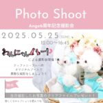 5月25日(日)Happy anniversary！Dog select shop Ange撮影会 開催！