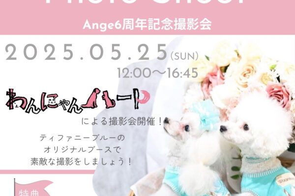 5月25日(日)Happy anniversary！Dog select shop Ange撮影会 開催！