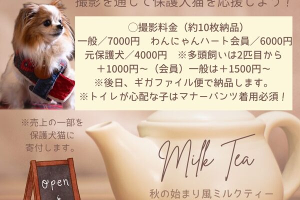 8月24日(日)ミルクティー背景で撮影！チャリティー撮影会inやわらぎ斎場 藤野