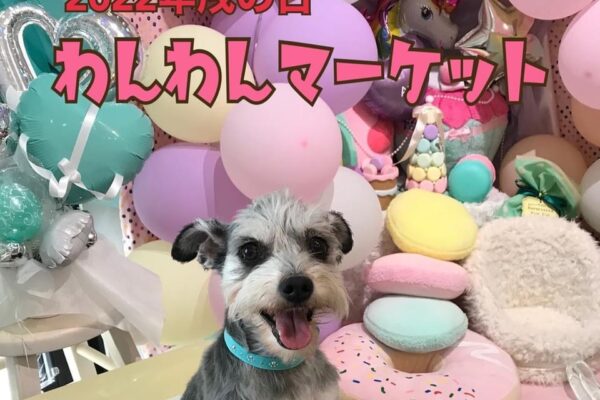 4月3日(日)の戌の日は♪すすきので犬同伴可イベント「わんわんマーケット」開催！