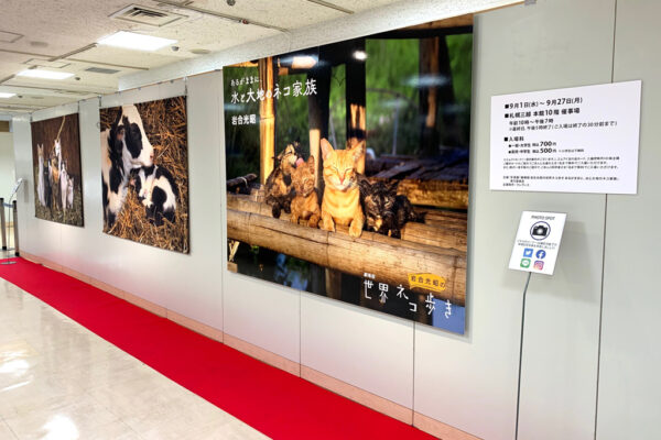 写真展「劇場版 岩合光昭の世界ネコ歩き　あるがままに、水と大地のネコ家族」札幌三越10Fで開催中！