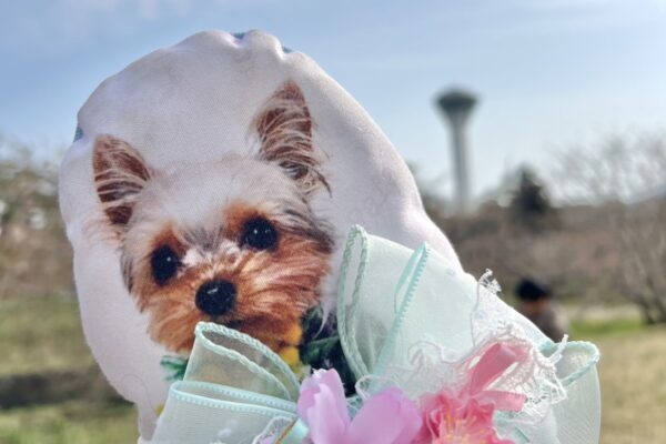 犬同士の被害と加害をなくすためにできること
