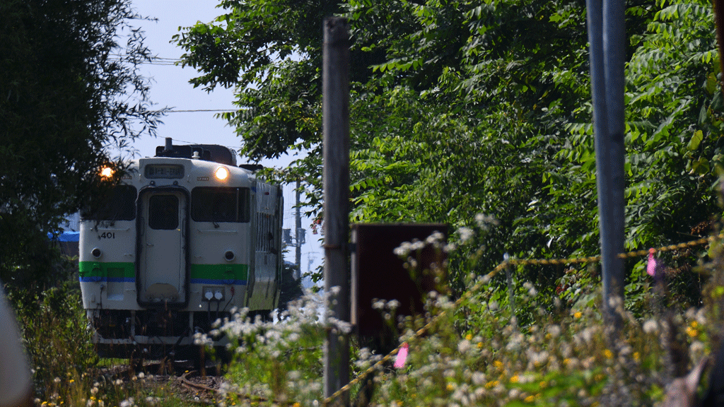 「日本一、最終列車の早い駅」として、札沼線が1日1往復している。石狩当別駅からの列車が9時28分に当駅に到着し、12分後の9時40分に終列車が発車する