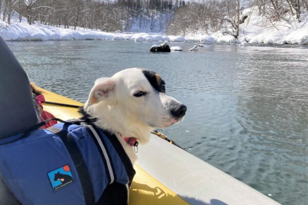 冬の終わりと春の始まりをエンジョイ！愛犬とゆったり下ろう「ニセコ 清流下り」in尻別川