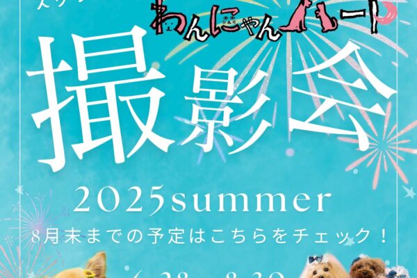 6月〜9月のわんにゃんハート撮影会 日程のご案内♪
