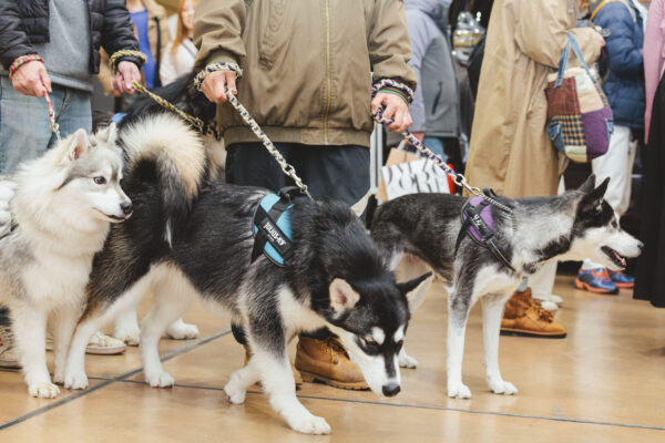 ＼わんハートVol.22発売記念イベント／フォトレコ販売〜新田カメラマン編〜掲載中！