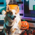 PEBOネオンNight撮影会リポート！