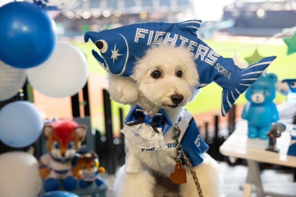 ファイターズCSファイナルステージ進出おめでとう！ペットフェスティバルinエスコンフィールド北海道1日目 リポート！