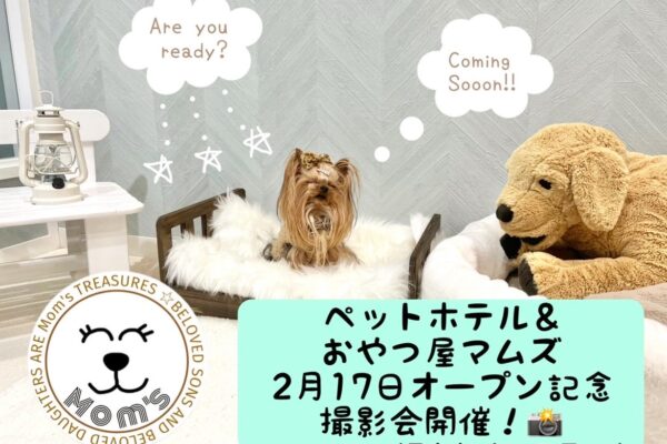 2月17日（土）札幌月寒にペットホテル＆おやつ屋「マムズ」が誕生！オープン記念撮影会開催