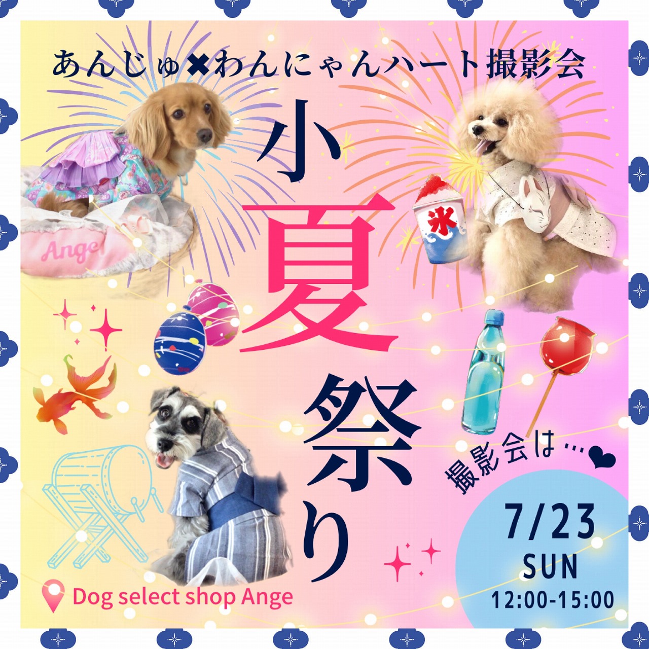 7月22日 コレクション 札幌 ペット