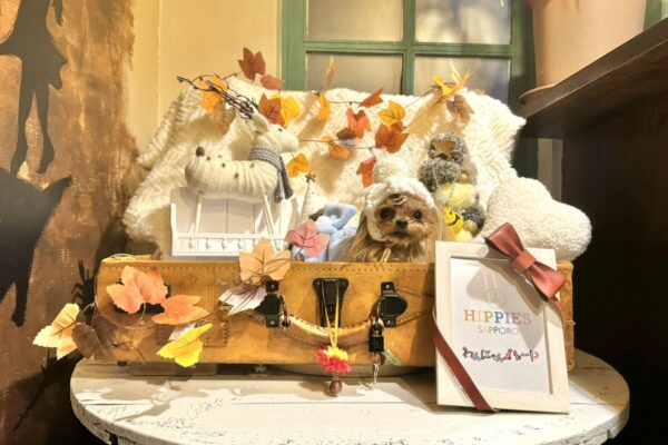 ＼秋冬モードになりました／犬と行けるヒッピーズ×わんにゃんハートコラボブース！