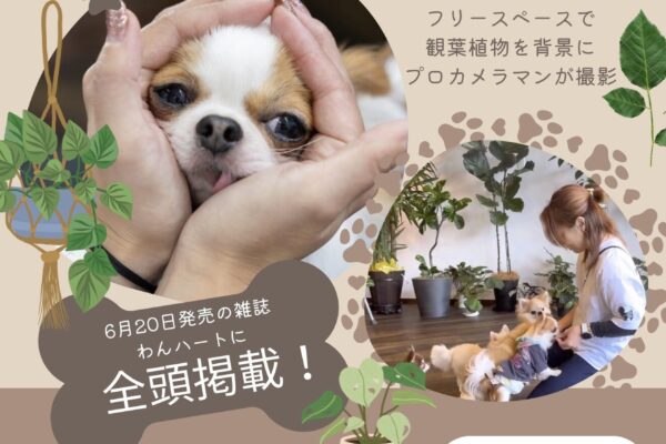 2月11日（祝水）＼わんこ思いなトリミングサロン／室蘭のDog salon onlyわん撮影会 開催！