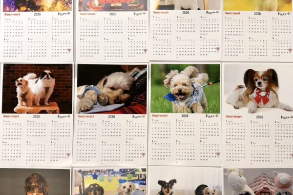 ＼うちの子カレンダーが続々誕生／わんハート セイコーマート購入特典！