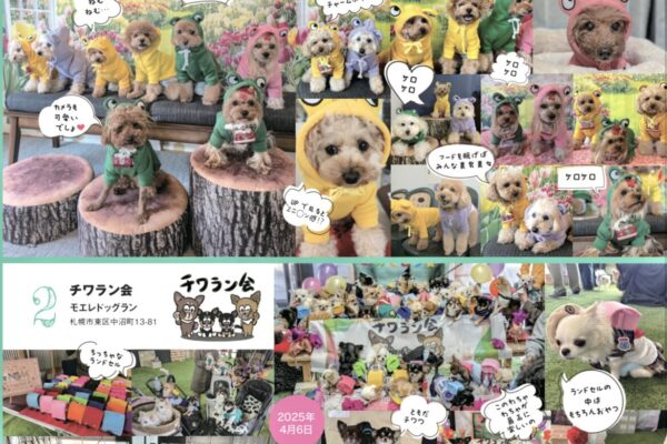 ＼11月15日発売のわんハート掲載！／わんこオフ会リポート募集中