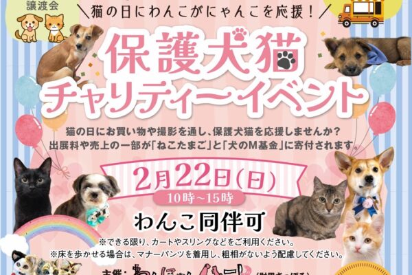 ＼猫の日にわんこがにゃんこを応援／保護犬猫チャリティーイベント開催