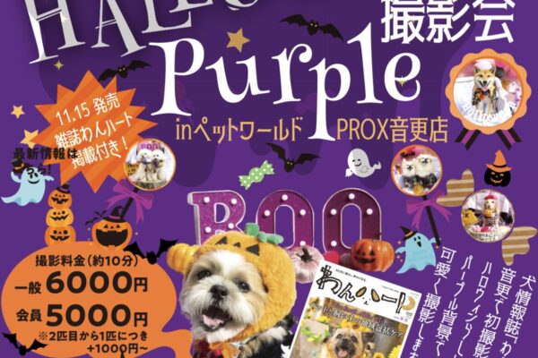 10月12日（日）ハロウィンパープル撮影会in ペットワールドPROX音更店 開催！