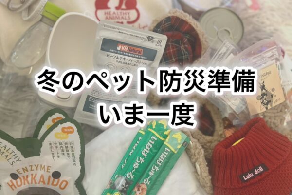 突然の地震に備えて……「冬のペット防災、備蓄」をいま一度