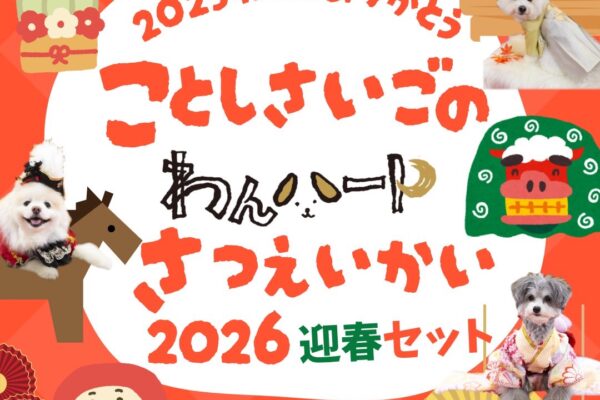 12月26日（金）2025の撮影納めはこちら♪今年もありがとう！フラワー撮影会inテン・テン川沿店