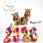 .＊謹賀新年.＊今年もよろしくお願いいたします。