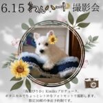 6月15日（日）わんハート発売記念イベント撮影会inアルトラーチェ〜詳細とご予約に関しまして〜