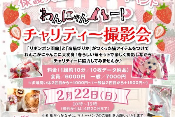 2月22日(日)猫かぶって応援しよう！保護犬猫チャリティー撮影会inやわらぎ斎場 西町別館