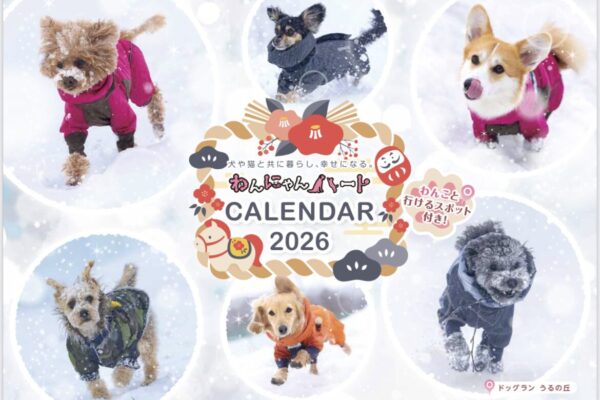 ＼今年も可愛くできました／わんにゃんハートカレンダー2026 発売！