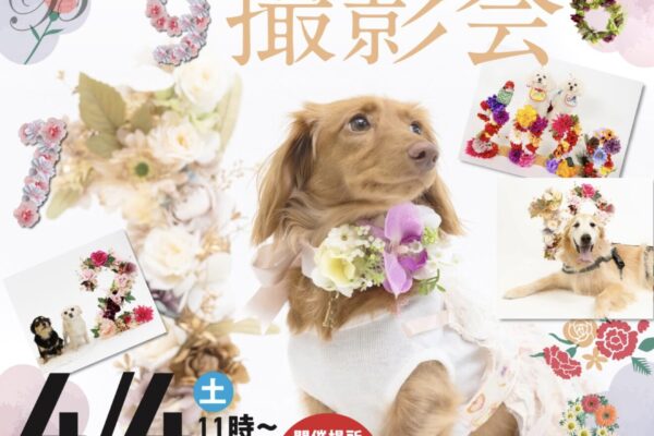 4月4日（土）＼𝑯𝒂𝒑𝒑𝒚 𝑩𝒊𝒓𝒕𝒉𝒅𝒂𝒚！／フラワーナンバー撮影会in ペットタウン テン・テン アリオ札幌店 開催！