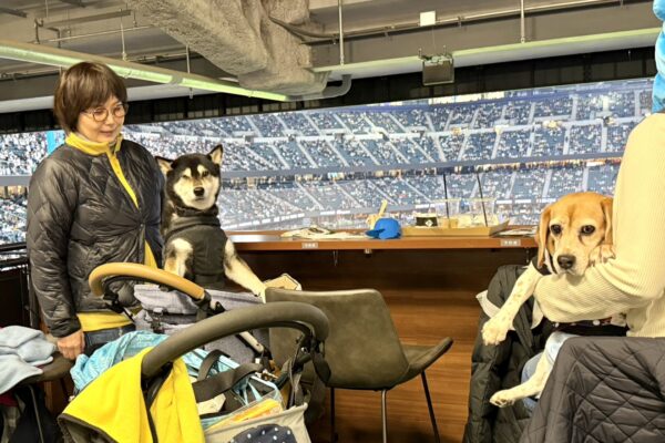 ＼エスコン オープン戦／DOG SUITEでわんこと観戦リポート！