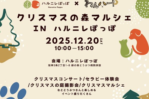 12月20日（土）ミニコンサートも♪クリスマスの庭撮影会in旭川 ハルニレぽっぽ 開催！