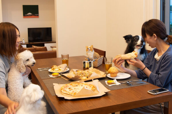 新年は「スノードッグビレッジニセコ」で愛犬と優雅なプライベート時間を
