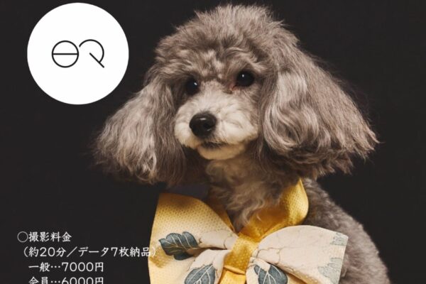 3月20日（祝金）ドッグアパレル「日々」コラボ 和リボン撮影会in One&Only studio開催！