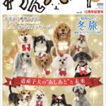 ＼表紙公開／11月15日発売！わんハート20号「道産子犬の“あしあと”と未来」