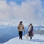 冬も春も！わんことお出かけ「星野リゾート トマム」