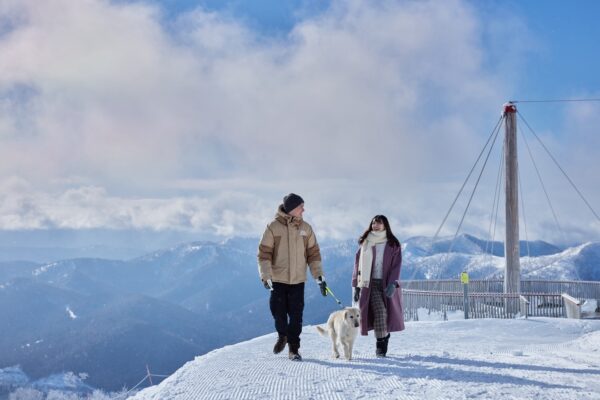 冬も春も！わんことお出かけ「星野リゾート トマム」