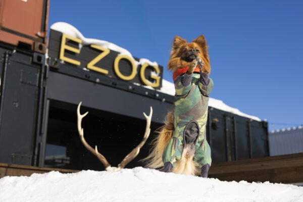 ＼鹿肉食べて雪遊び／新春！雪中撮影会in EZOGリポート！