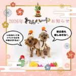 わんハート／わんにゃんハートから《2026年の予定とお知らせ》