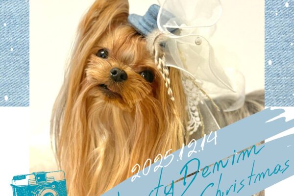 12月14日（日）毎年大人気！Heartyデニムクリスマス撮影会 開催！