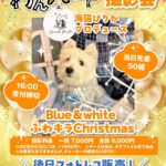 ＼11.16（日）はアクセスサッポロ／わんハートVol.22 発売記念イベント 撮影会情報！