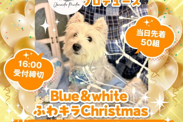 ＼11.16（日）はアクセスサッポロ／わんハートVol.22 発売記念イベント 撮影会情報！