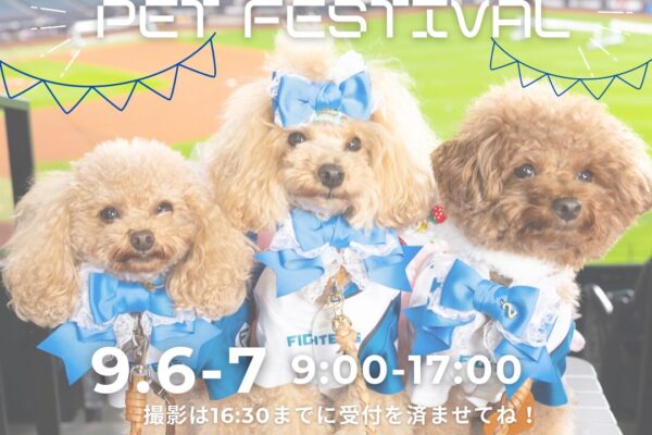 ＼9月6日と7日はエスコンで撮影会！／北海道ペットフェスティバル