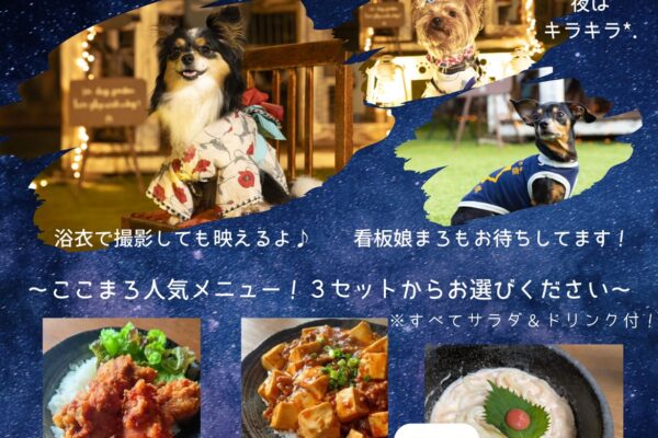 8月30日（土）キラキラ☆ここまろNight撮影会in六軒村ばんごはん ここまろ 開催！